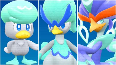 quaxly final evolution|Quaxly Final Evolution in Pokemon Scarlet and Violet